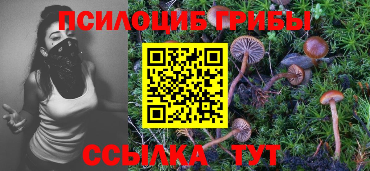 Галлюциногенные грибы Magic Shrooms Прокопьевск